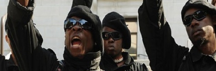 new-black-panthers