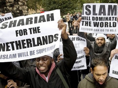 islam_netherlands_sweden