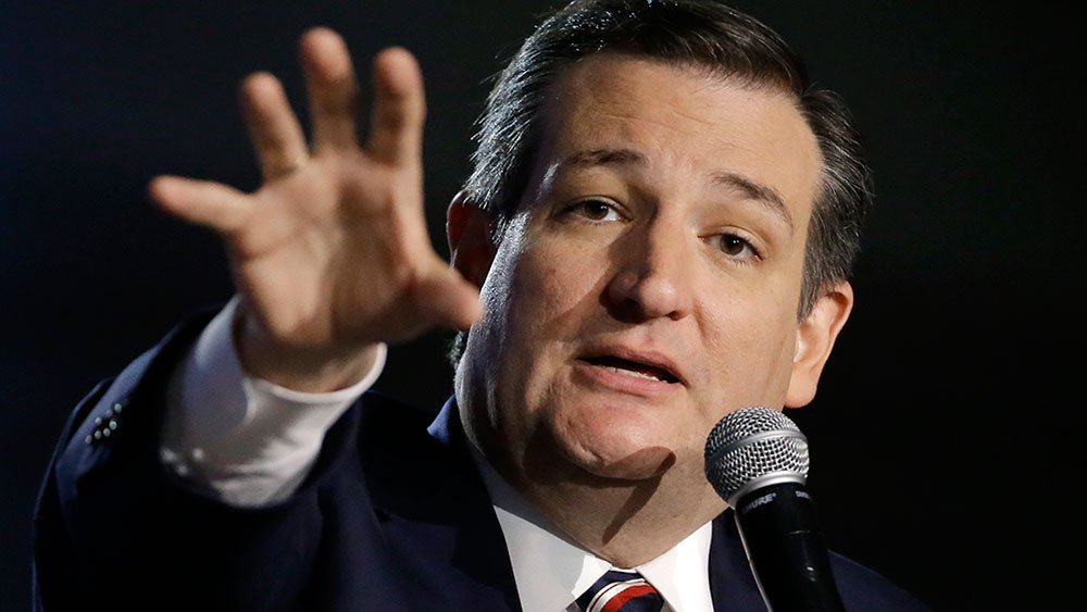 Republican presidential candidate Sen. Ted Cruz, R-Texas, may be the GOP's only hope to defeat maverick Republican presidential candidate Donald Trump.