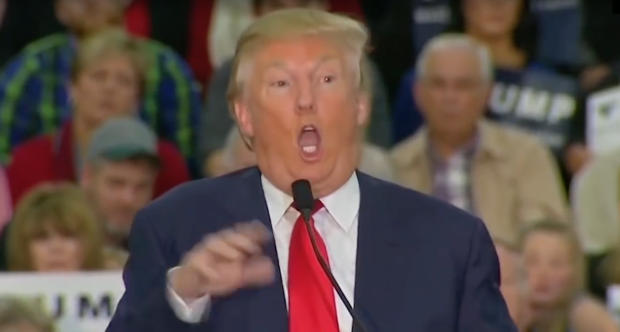 Donald-Trump-mocking-disabled-reporter