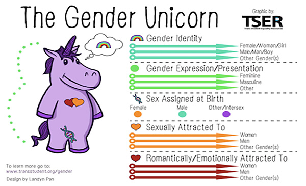 gender-unicorn