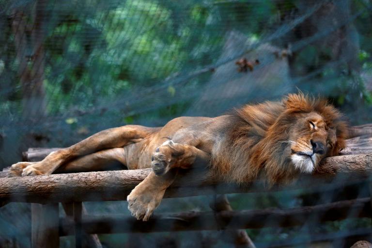 venezuela-zoo