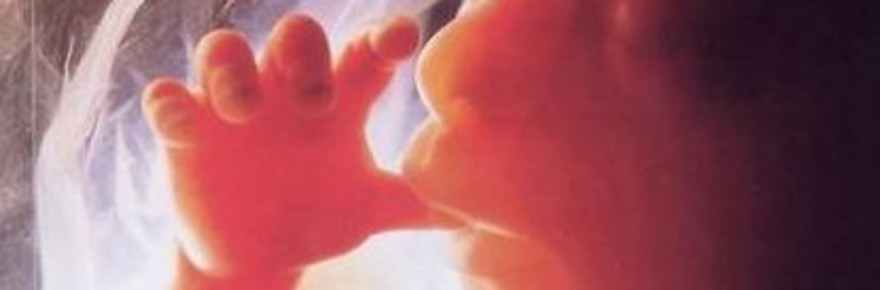 Just Sick: Democrats Hope New Spas Will Put “A Human Face” on Abortion ...